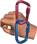 Two carabiners in front of the hand